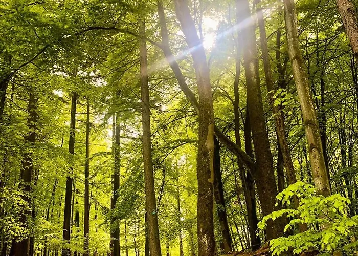 Fewo_ortszeit * Haintchen